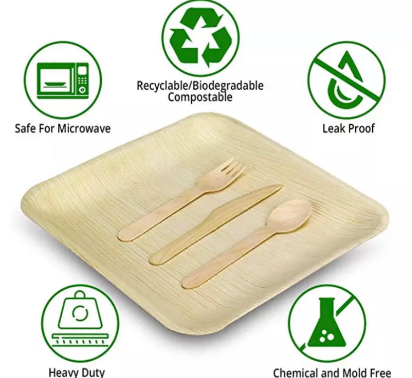 Leafware Square Palm Leaf Plate & Lid Combo